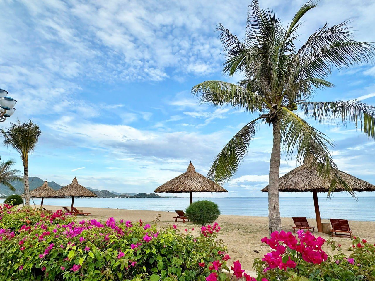 Phan Rang: the dragon temple, a zoo and a beach