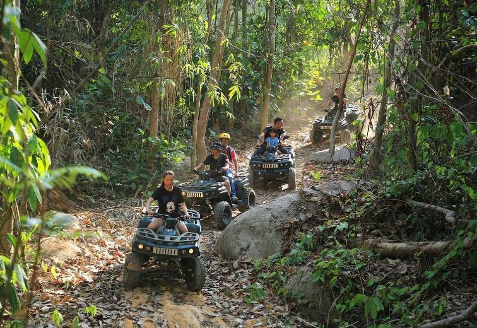 Zipline and quad bikes